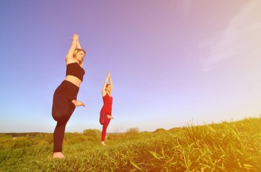 İki genç sarışın kız spor pratik yoga açık havada pitoresk bir yeşil tepenin üzerinde akşam uygun. Spor egzersiz ve sağlıklı yaşam kavramı