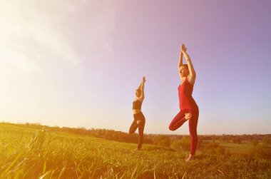 İki genç sarışın kız spor pratik yoga açık havada pitoresk bir yeşil tepenin üzerinde akşam uygun. Spor egzersiz ve sağlıklı yaşam kavramı