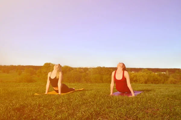 Two young fair-haired girls in sports suits practice yoga on a picturesque green hill in the open air in the evening. The concept of sport  exercising outdoors