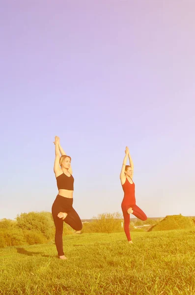 Deux Jeunes Filles Aux Cheveux Blonds Costumes Sport Pratiquent Yoga — Photo