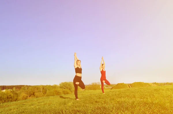 Zwei Junge Blonde Mädchen Sportanzügen Praktizieren Abends Yoga Auf Einem — Stockfoto