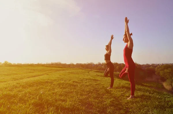 Due Giovani Ragazze Dai Capelli Biondi Tuta Sportiva Praticano Yoga — Foto Stock