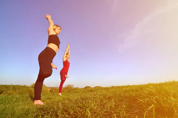 Due Giovani Ragazze Dai Capelli Biondi Tuta Sportiva Praticano Yoga — Foto Stock