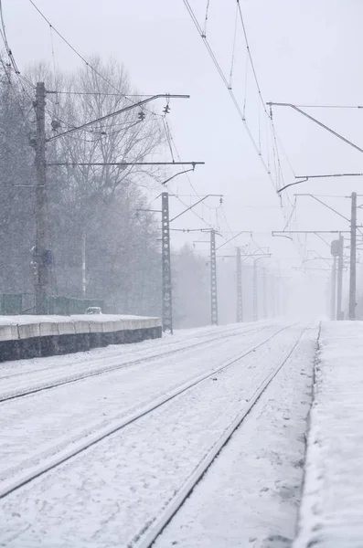 Photo Railway Station Suburbs Countryside Railroad Runs Dense Rows Trees — Stock Photo, Image