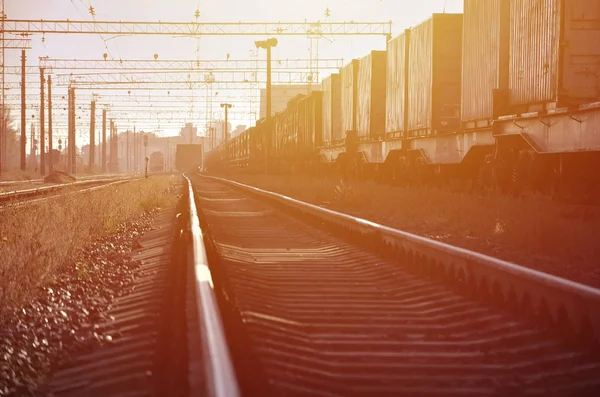 Railway landscape. Many railroad cars and tanks standing in rails