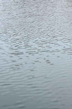 Rüzgarın etkisi altında Nehri'nde su doku. Bir sürü su yüzeyi üzerine sığ dalgalar