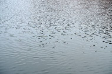 Rüzgarın etkisi altında Nehri'nde su doku. Bir sürü su yüzeyi üzerine sığ dalgalar