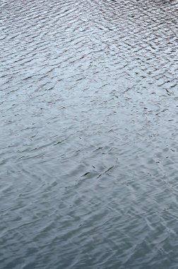 Rüzgarın etkisi altında Nehri'nde su doku. Bir sürü su yüzeyi üzerine sığ dalgalar