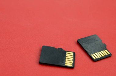 İki küçük mikro Sd bellek kartları kırmızı bir arka plan üzerinde yalan. Küçük ve kompakt veri ve bilgi deposu