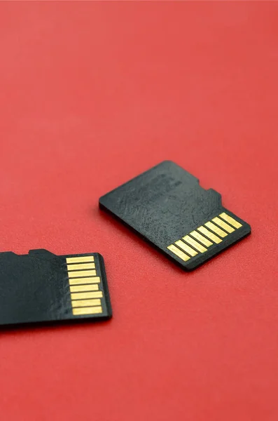 两个小的微型 存储器卡位于红色背景上 小型和紧凑的数据和信息存储 — 图库照片