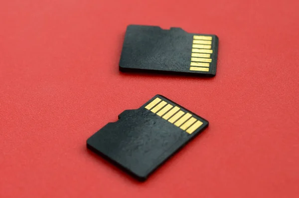 Dwa Małe Mikro Pamięć Karta Leżeć Czerwonym Tle Mały Kompaktowy — Zdjęcie stockowe
