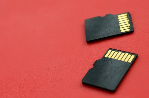 Two small micro SD memory cards lie on a red background. A small and compact data and information store