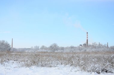 Endüstriyel Tesis karla kaplı bataklık arazi yer alır. Sarı bulrushes büyük alan