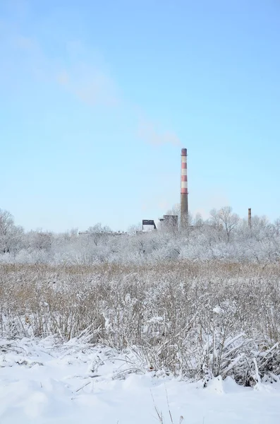 Промышленный Завод Расположен Болотистой Местностью Покрытой Снегом Большое Поле Жёлтых — стоковое фото