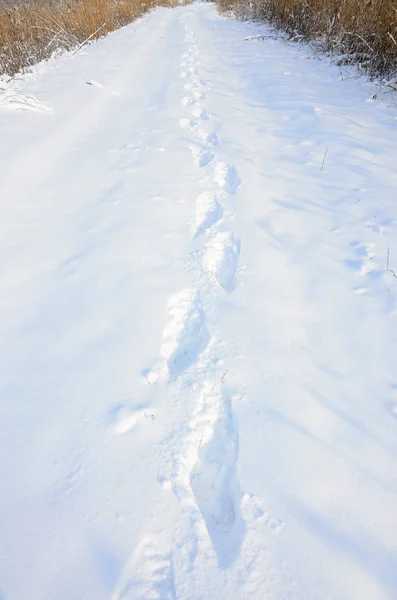 Auf Der Schneebedeckten Straße Gehen Viele Menschliche Spuren Die Ferne — Stockfoto