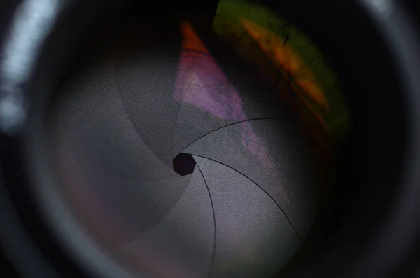 Fragment of a portrait lens for a modern SLR camera. A photograph of a wide-aperture lens with a focal length of 50mm