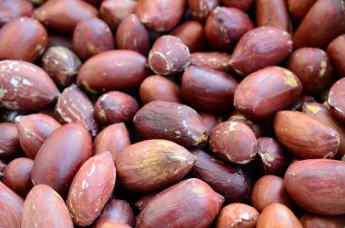 Fıstık. Bir sürü küçük sarı fındık kahverengi kabuğu ile. Arka plan doku