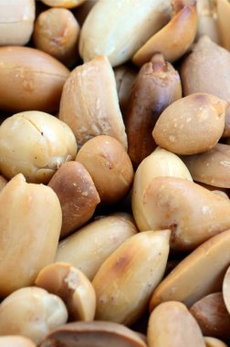 Fıstık. Bir sürü küçük sarı fındık kabuğu olmadan. Arka plan doku