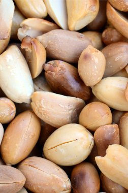 Fıstık. Bir sürü küçük sarı fındık kabuğu olmadan. Arka plan doku