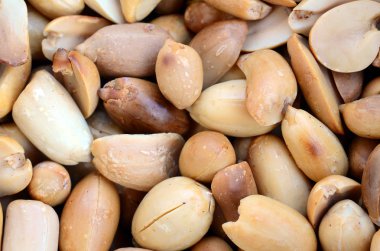 Fıstık. Bir sürü küçük sarı fındık kabuğu olmadan. Arka plan doku