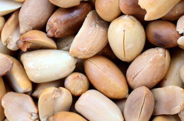 Fıstık. Bir sürü küçük sarı fındık kabuğu olmadan. Arka plan doku