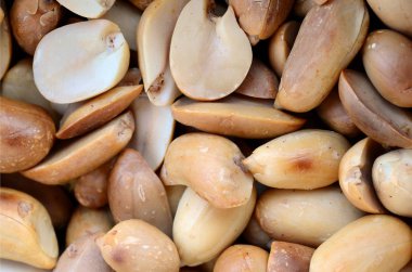 Fıstık. Bir sürü küçük sarı fındık kabuğu olmadan. Arka plan doku