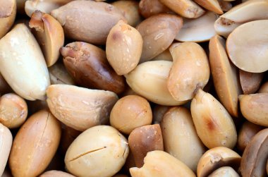 Fıstık. Bir sürü küçük sarı fındık kabuğu olmadan. Arka plan doku