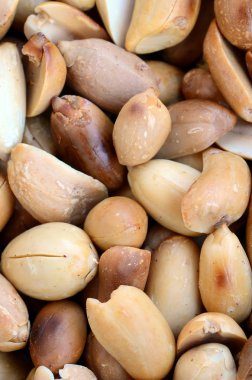 Fıstık. Bir sürü küçük sarı fındık kabuğu olmadan. Arka plan doku