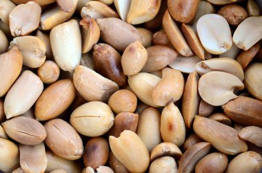 Fıstık. Bir sürü küçük sarı fındık kabuğu olmadan. Arka plan doku