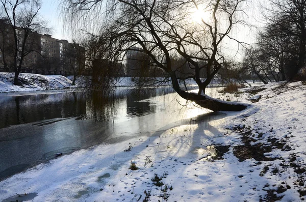 Winterlandschaft Mit Einem Großen Baum Fluss — Stockfoto
