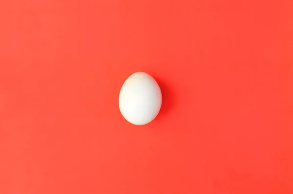 Одно Белое Яйцо Ярко Красном Фоне — стоковое фото