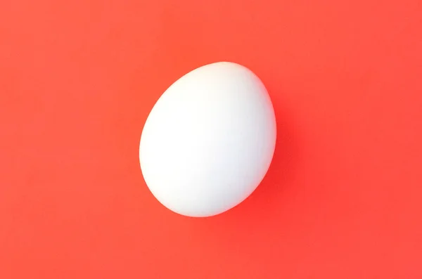 One White Egg Bright Red Background — Stock Photo, Image