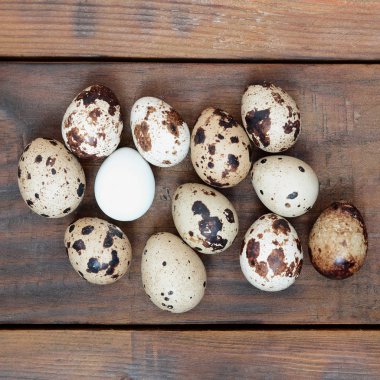 Koyu kahverengi ahşap yüzeyde bıldırcın yumurtaları, üst görüş, metin için boş yer, tarif