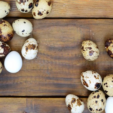 Koyu kahverengi ahşap yüzeyde bıldırcın yumurtaları, üst görüş, metin için boş yer, tarif