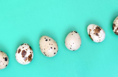 Bıldırcın yumurta bir ışık yeşil yüzey, üstten görünüm, metin, boş yer tarifi