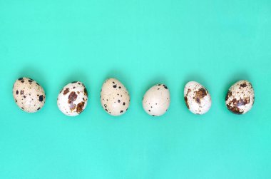 Bıldırcın yumurta bir ışık yeşil yüzey, üstten görünüm, metin, boş yer tarifi