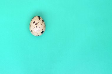 Bir Bıldırcın yumurta bir ışık yeşil yüzey, üstten görünüm, metin için boş yer. Minimalizm