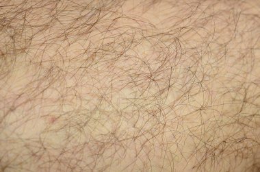 Close up detail of human skin with hair. Mans hairy leg clipart