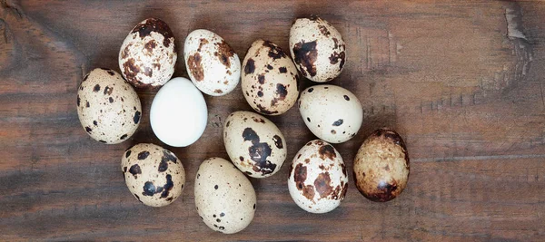 Quail Eggs Dark Brown Wooden Surface Top View Empty Place — Stock Photo, Image