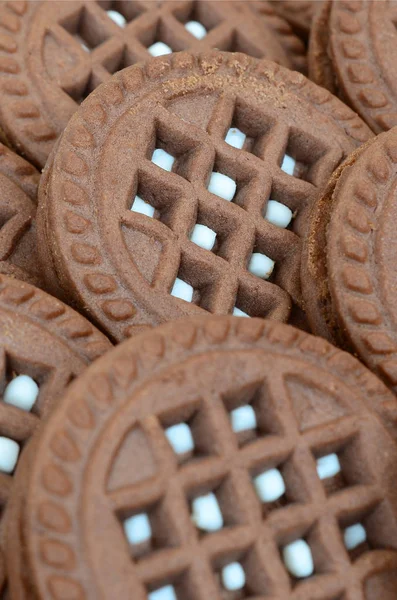 Imagem Detalhada Biscoitos Sanduíche Redondos Marrom Escuro Com Enchimento Coco — Fotografia de Stock