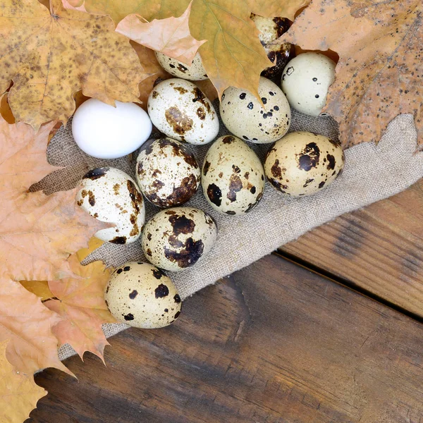 Kwartel Eieren Met Herfstbladeren Plundering Een Donker Bruine Houten Oppervlak — Stockfoto