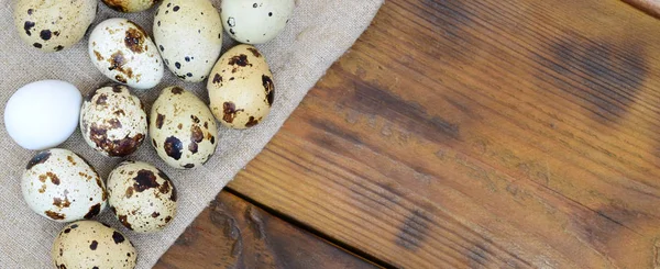 Przepiórcze jaja zwolnieniu na ciemny brązowy powierzchni drewnianych, widok z góry, — Zdjęcie stockowe