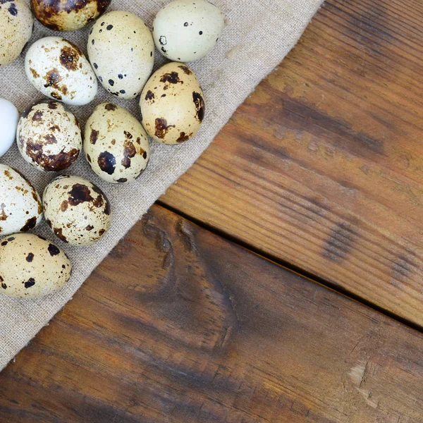 Kwartel Eieren Plundering Een Donker Bruine Houten Oppervlak Bovenaanzicht Lege — Stockfoto