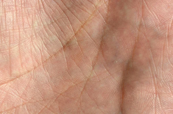 Close Van Menselijke Hand Huid Met Zichtbare Huidtextuur Lijnen — Stockfoto