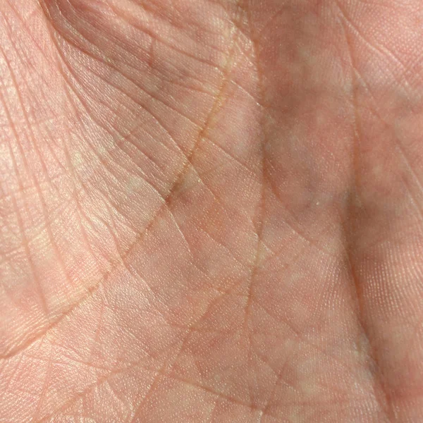Close up of human hand skin with visible skin texture and lines