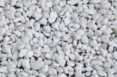 Beyaz renk yuvarlak ve oval taş bir sürü yalan yere bahçede