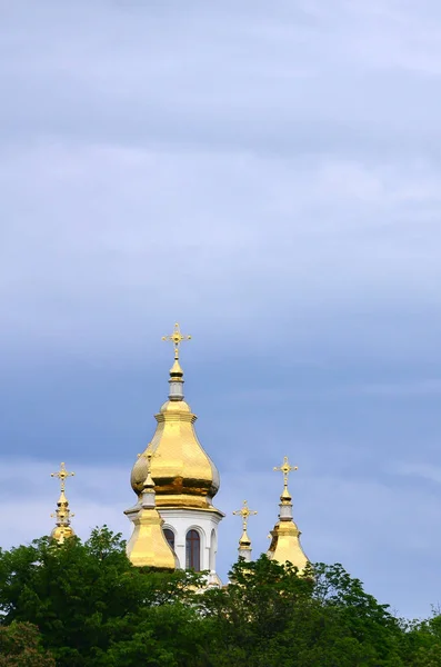 Cúpulas Doradas Una Iglesia Ortodoxa Entre Árboles Flor Sobre Fondo — Foto de Stock