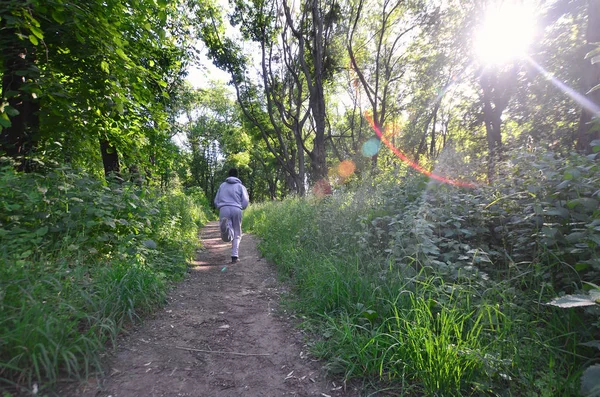 A young guy in a gray sports suit runs along the path among the — Stock Photo, Image