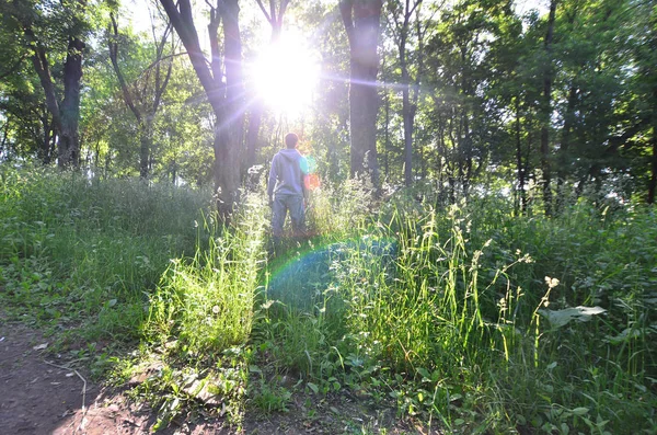 Mladý Muž Šedé Sportovní Oblek Stojí Naproti Slunce Mezi Stromy — Stock fotografie