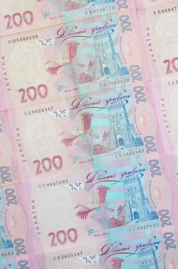 Bir close-up desenle 200 hryvnia par değeri birçok Ukrayna para birimi banknotlar. Arka plan resmi iş Ukrayna